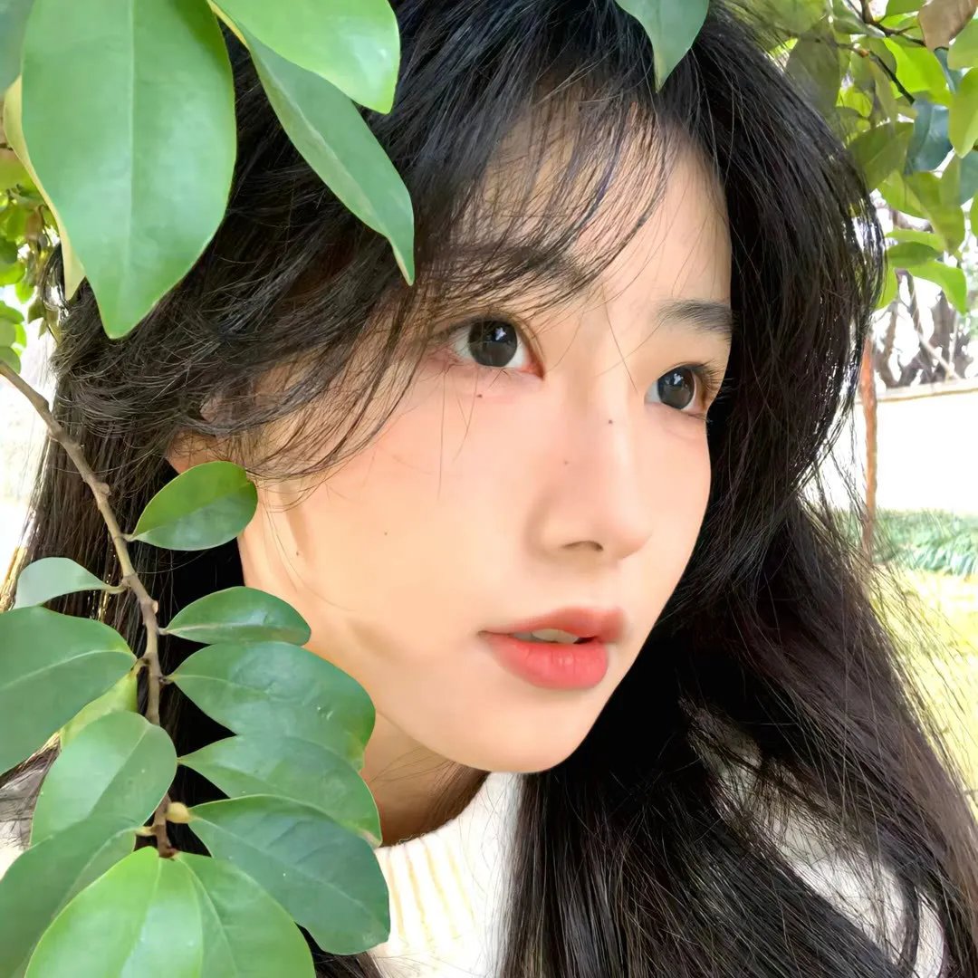 美杜莎